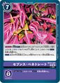 Dcg-BT23-097.jpg