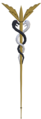 Thumbnail for version as of 17:24, 6 July 2026