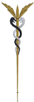 Cauduceus