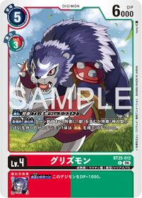 Dcg-BT25-012.jpg