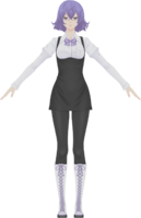 Mirei 2 TS Model.png