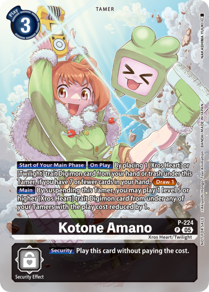 File:Dcg-P-224 2 EN.png
