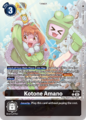 Dcg-P-224 2 EN.png