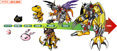 Evolution Stage - Wikimon - The #1 Digimon wiki