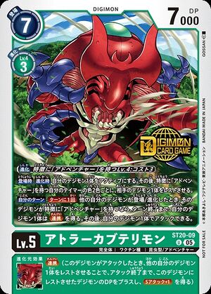 Dcg-ST20-09 2.jpg
