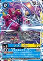Dcg-EX12-033.jpg