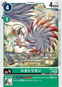 Dcg-BT24-047.jpg