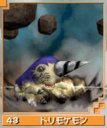 Drimogemon card dw.png