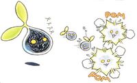Nyokimon DM ver X 2.jpg