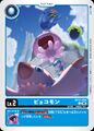 Dcg-BT21-003.jpg