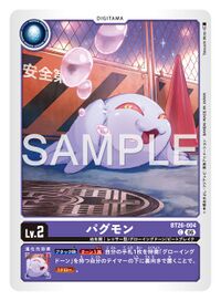 Dcg-BT26-004.jpg
