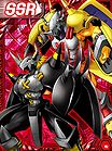 BlackWarGreymon and WarGreymon re collectors card.jpg