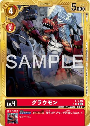 Dcg-ST7-05 5.jpg