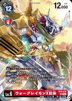 Dcg-BT9-016 3.jpg