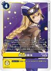 Dcg-EX11-061.jpg