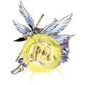 Angemon5.jpg