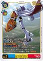 Dcg-EX12-037.jpg