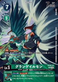 Dcg-ST22-13.jpg