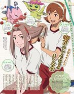 Animedia poster