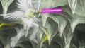 Thumbnail for version as of 21:38, 6 August 2026
