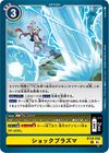 Dcg-BT24-092.jpg