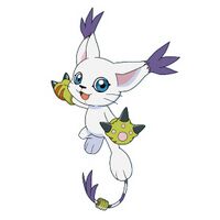 Tailmon - Wikimon - The #1 Digimon wiki