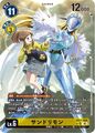 Dcg-EX11-024 2.jpg