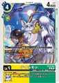 Dcg-EX12-042.jpg