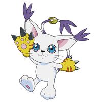 Tailmon 2020 changingacrylic.jpg
