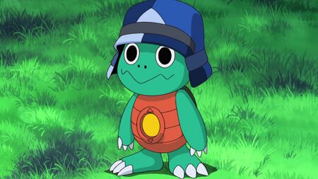 Kamemon - Wikimon - The #1 Digimon wiki