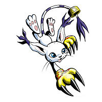 Tailmon - Wikimon - The #1 Digimon wiki  Digimon, Digimon digital  monsters, Digimon adventure tri