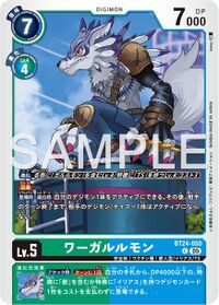 Dcg-BT24-050.jpg
