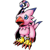 Piyomon - Wikimon - The #1 Digimon wiki