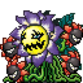 Blossomon vpet vb.png