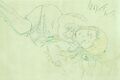 Thumbnail for version as of 08:56, 25 November 2025