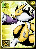 Renamon re+ collectors.jpg