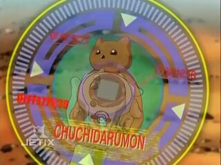 Digimon analyzer dt chuchidarumon en.jpg