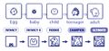 Thumbnail for version as of 01:46, 1 May 2025