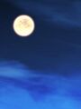 Thumbnail for version as of 15:11, 28 September 2025