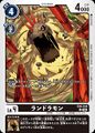 Dcg-EX8-048.jpg