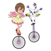 Yagami hikari tailmon circus.jpg