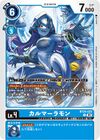Dcg-BT24-023.jpg