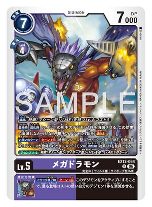 Dcg-EX12-064.jpg