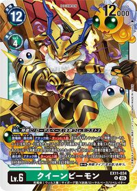 Dcg-EX11-034.jpg