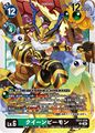 Dcg-EX11-034.jpg