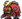 Tentomon