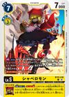 Dcg-BT22-036.jpg