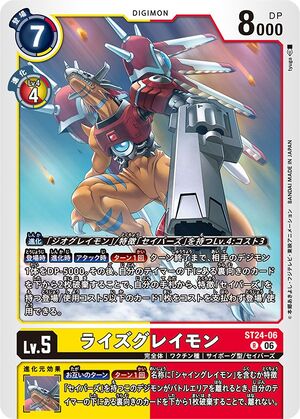 Dcg-ST24-06.jpg