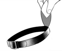 Digimon Knuckles - Hawkmon's hairband.png