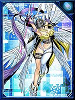 Angewomon re collectors card.jpg